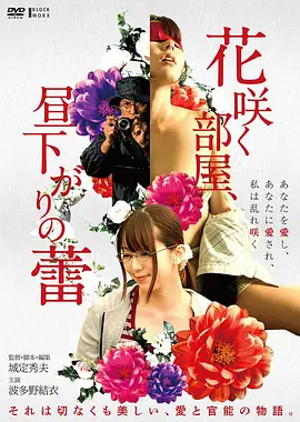 独行月球电影海报